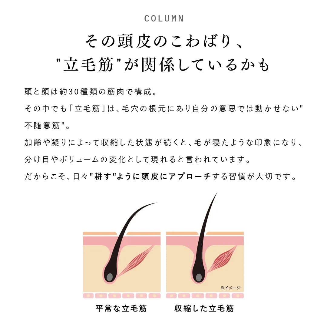 スカルプ電気ブラシ 5