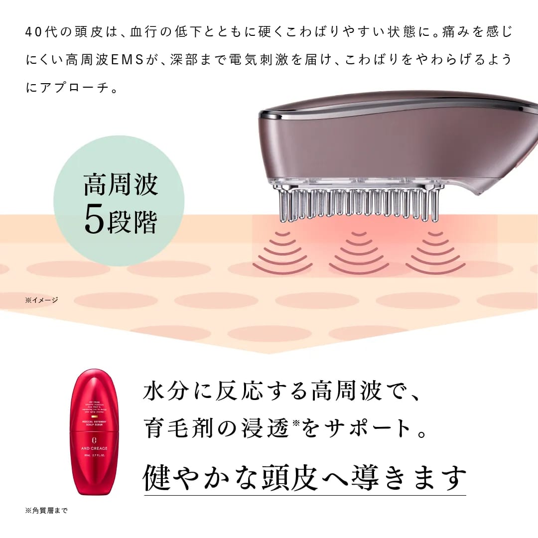 スカルプ電気ブラシ 10