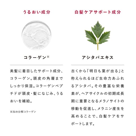 アンド クレアージュ　メディカルエストロジースカルプセラム 16