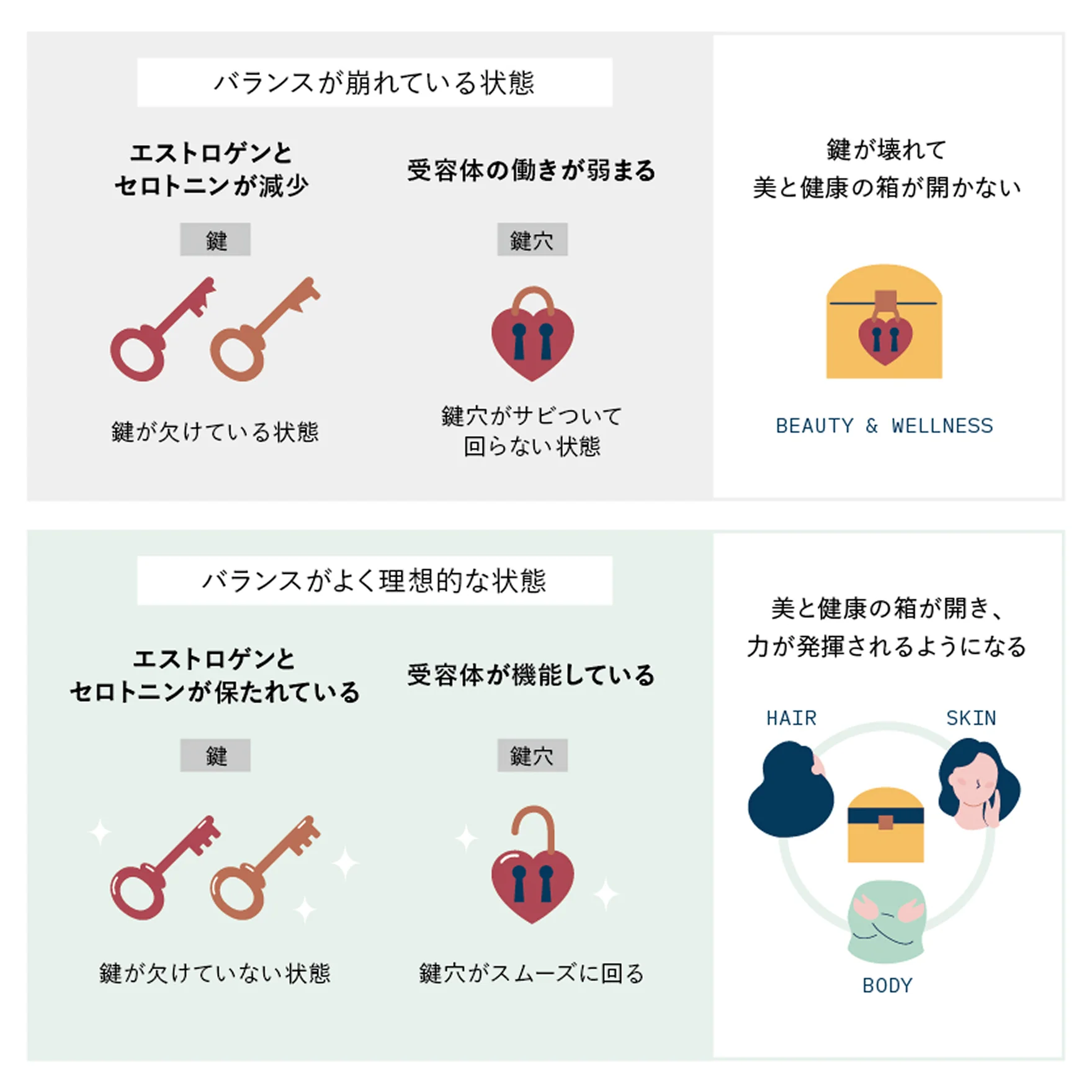 バランスが崩れている状態（エストロゲンとセロトニンが減少・受容体の働きが弱まる・鍵が壊れて美と健康の箱が空かない）／バランスが良く理想的な状態（エストロゲンとセロトニンが保たれている・受容体が機能している・美と健康の箱が開き、力が発揮されるようになる）