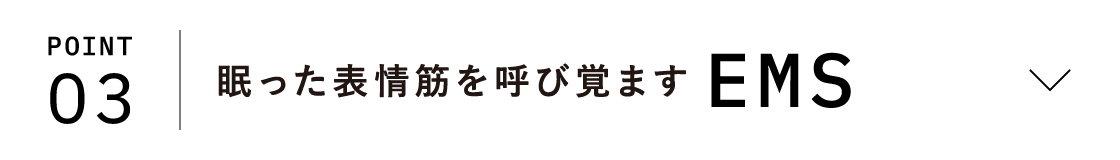 POINT03 眠った表情筋を呼び覚ます EMS