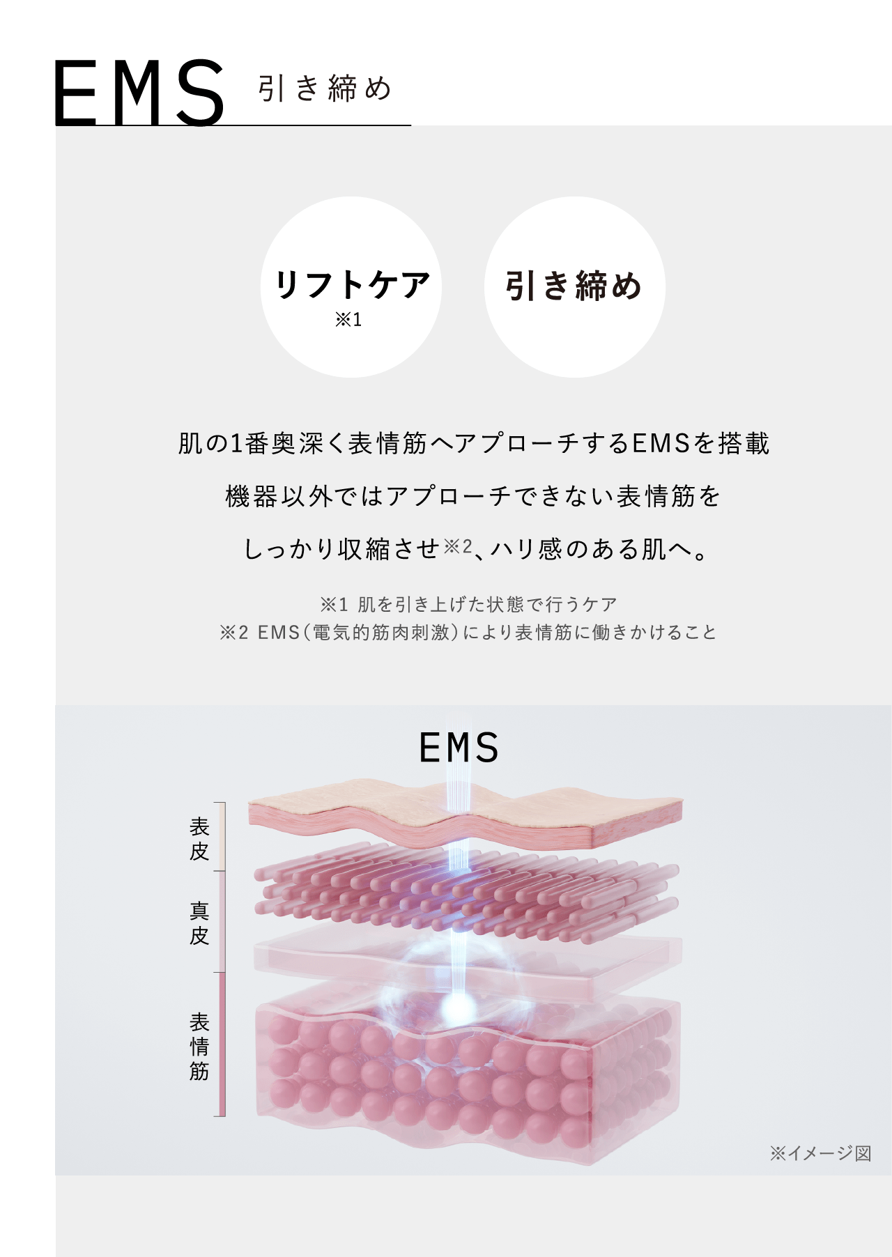 EMS 引き締め リフトケア※1 引き締め 肌の1番奥深く表情筋へアプローチするEMSを搭載 機器以外ではアプローチできない表情筋をしっかり収縮させ※2、ハリ感のある肌へ。 ※1 肌を引き上げた状態で行うケア ※2 EMS（電気的筋肉刺激）により表情筋に働きかけること EMS 表皮 真皮 表情筋 ※イメージ図