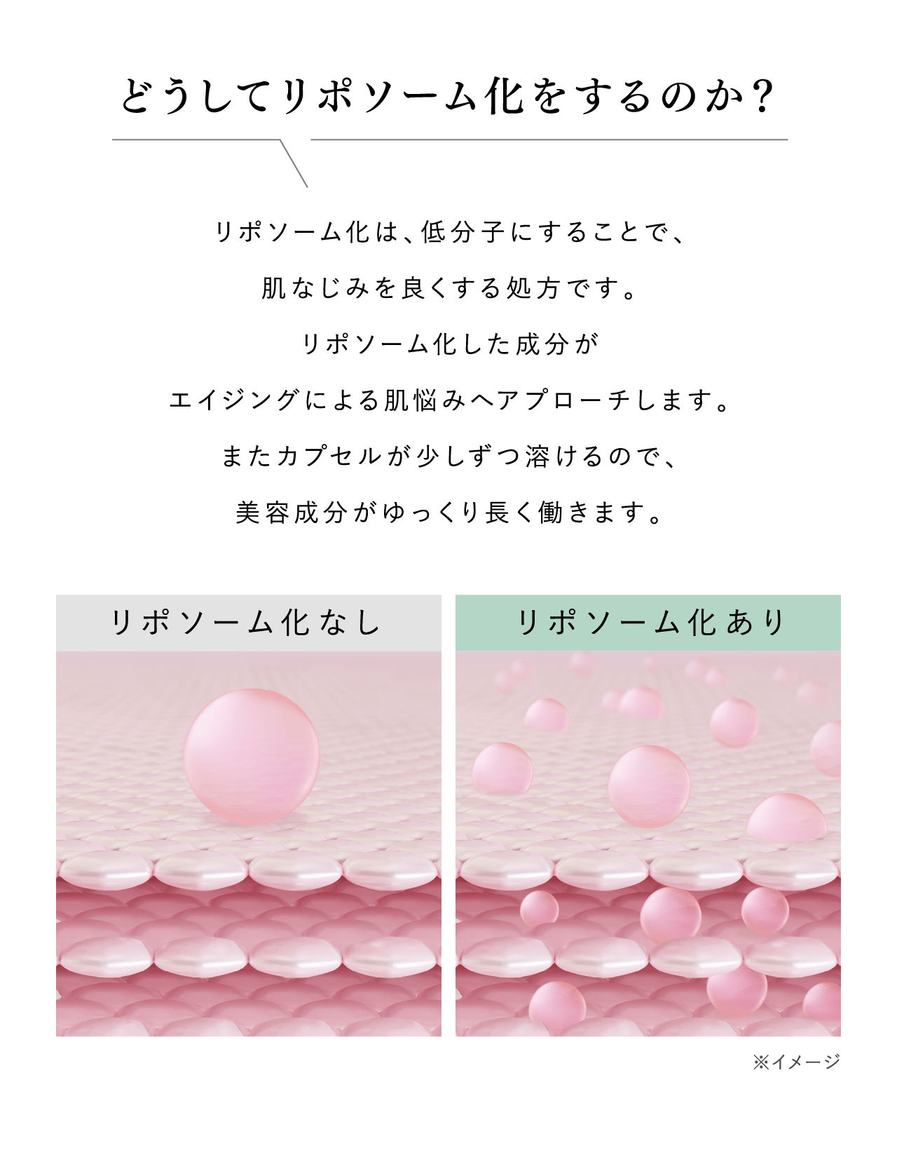 どうしてリポソーム化をするのか？ リポソーム化は、低分子にすることで、肌なじみを良くする処方です。リポソーム化した成分がエイジングによる肌悩みへアプローチします。またカプセルが少しずつ溶けるので、美容成分がゆっくり長く働きます。 リポソーム化なし リポソーム化あり ※イメージ