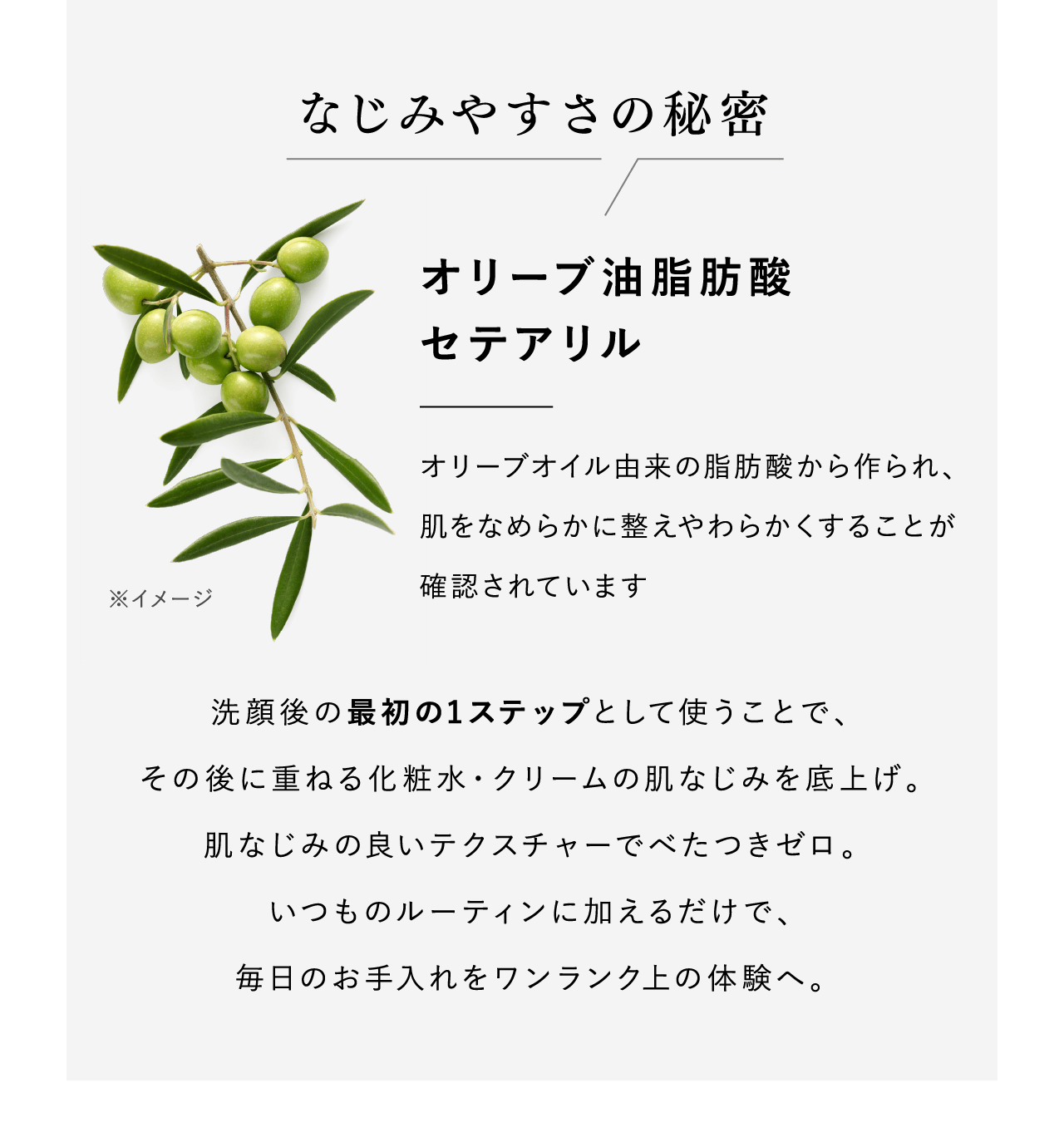 なじみやすさの秘密 オリーブ油脂肪酸セテアリル オリーブオイル由来の脂肪酸から作られ、肌をなめらかに整えやわらかくすることが確認されています ※イメージ 洗顔後の最初の1ステップとして使うことで、その後に重ねる化粧水・クリームの肌なじみを底上げ。肌なじみの良いテクスチャーでべたつきゼロ。いつものルーティンに加えるだけで、毎日のお手入れをワンランク上の体験へ。
