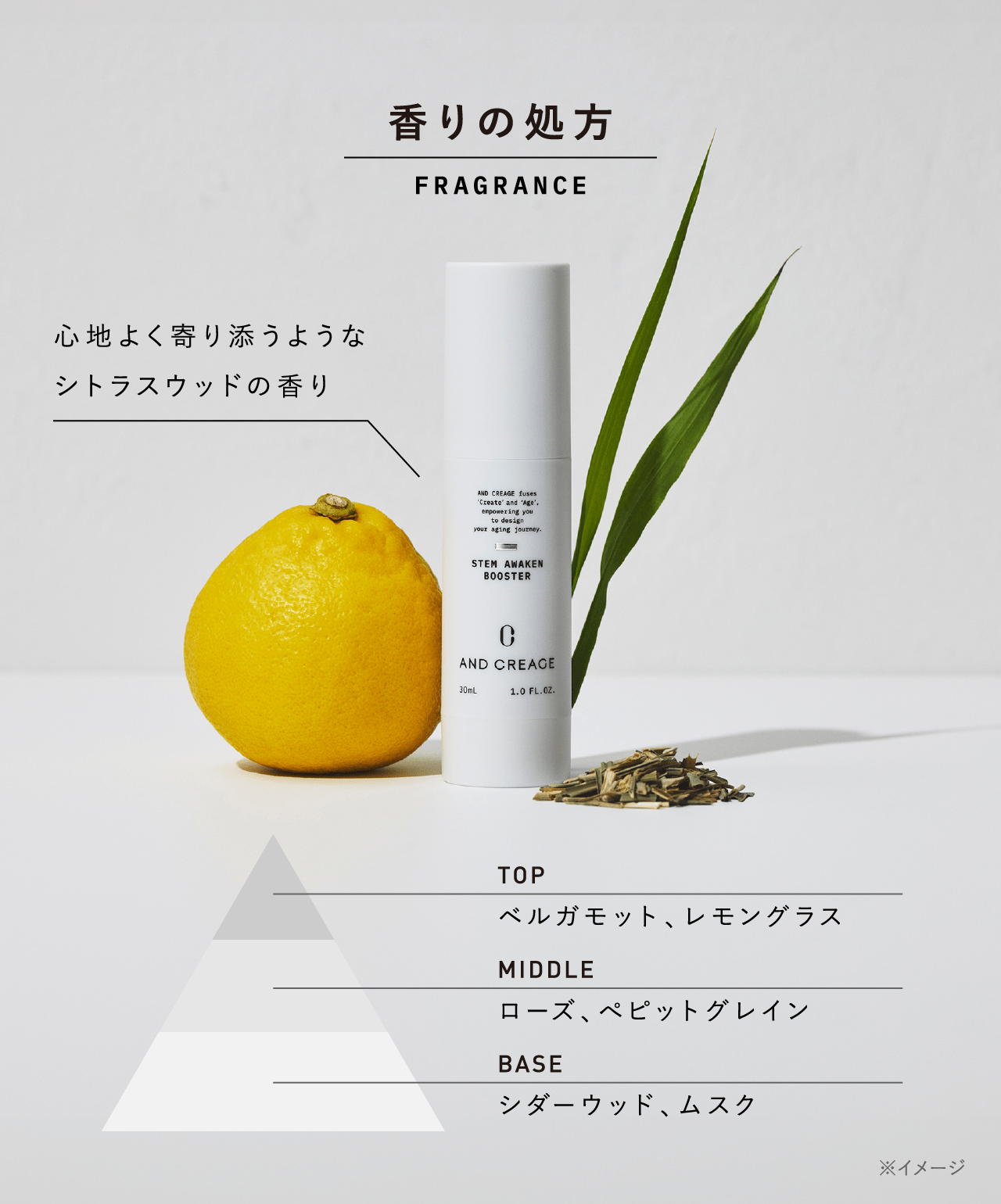 香りの処方 FRAGRANCE 心地よく寄り添うようなシトラスウッドの香り TOP ベルガモット、レモングラス MIDDLE ローズ、ペピットグレイン BASE シダーウッド、ムスク ※イメージ