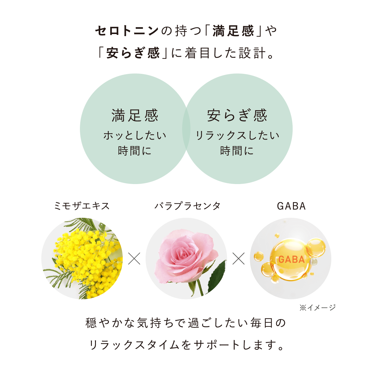 セロトニンの持つ「満足感」や「安らぎ感」に着目した設計。 満足感 ホッとしたい時間に 安らぎ感 リラックスしたい時間に ミモザエキス バラプラセンタ GABA ※イメージ 穏やかな気持ちで過ごしたい毎日のリラックスタイムをサポートします。